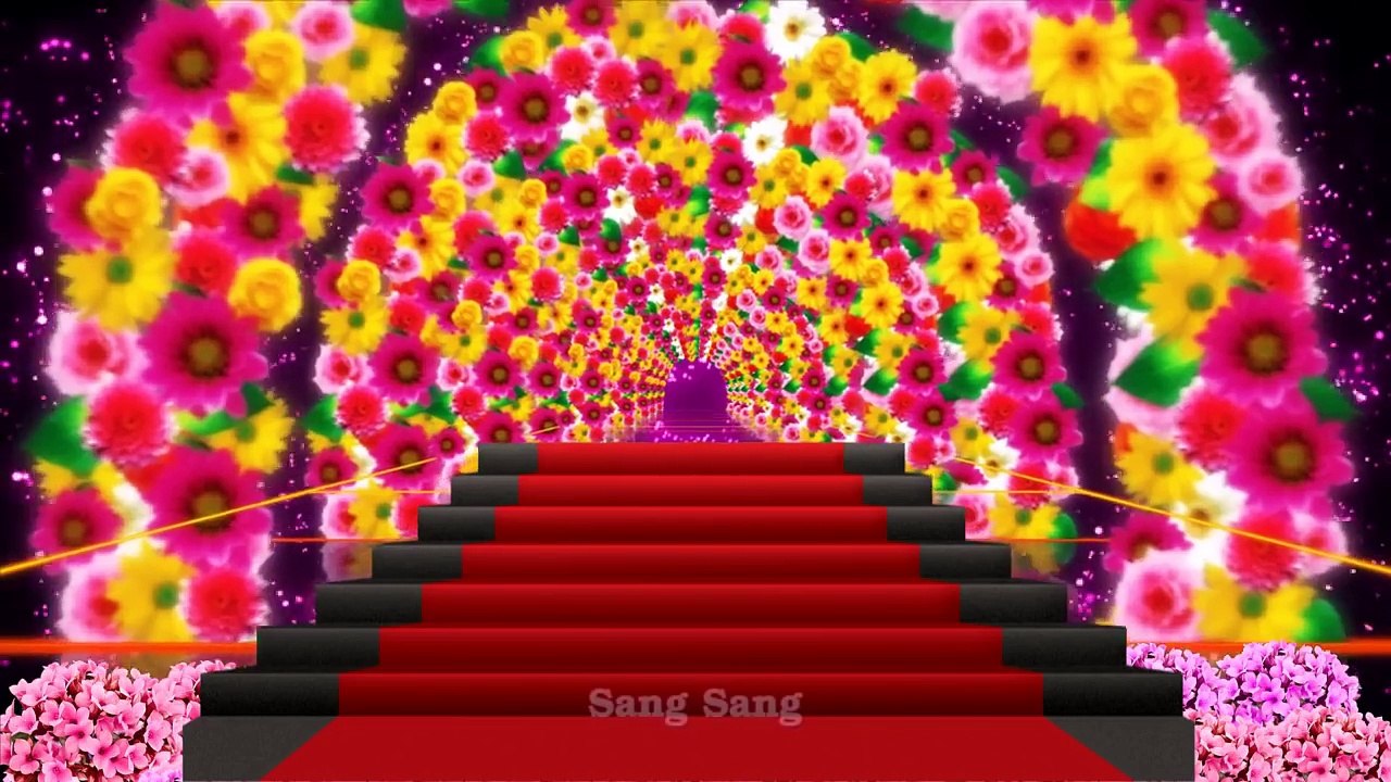 Free Flower Wedding Video Background HD