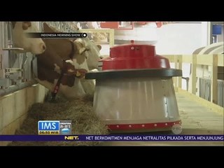 Robot Pemberi Makan Ternak di Jerman - IMS