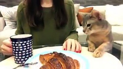 Give me please one yummy Credit IG @iam_bolt_66