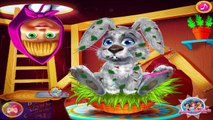 → Masha And The Bear - Facebook Profile Picture, The Bunny & Facial Spa (Game For Kids)