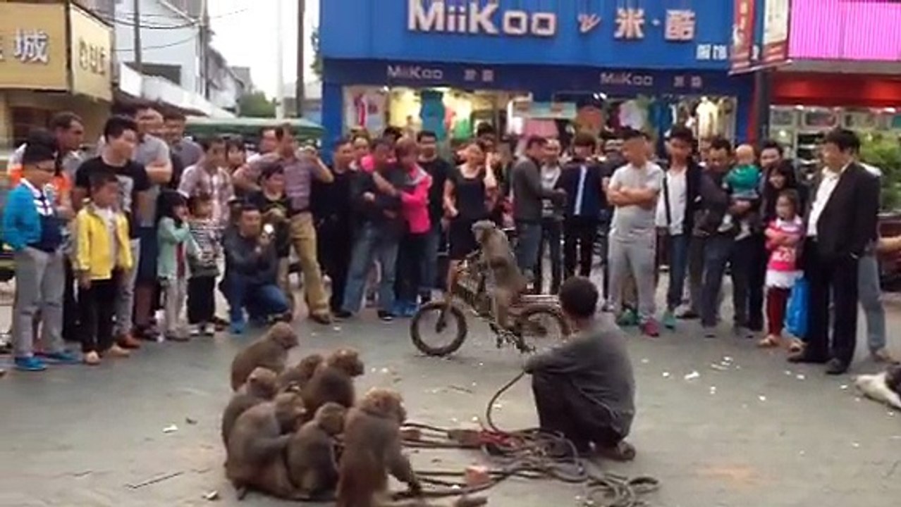 NEW FUNY VIDEO - Chinese madari 2017; 2018 VIDEO ON DAILYMOTION