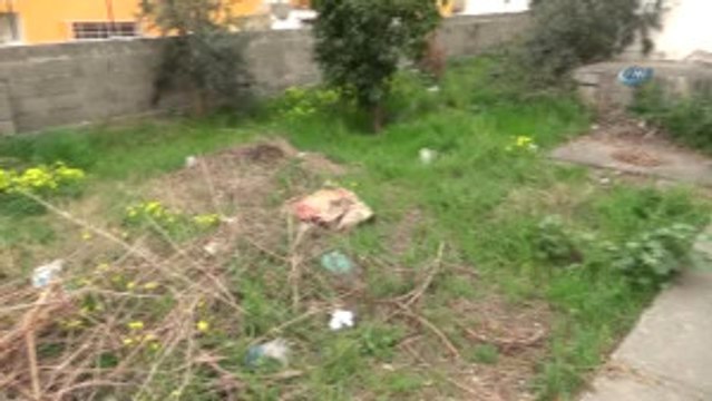 Epilepsi Hastası Olan Murat Alageyik Çökmek Üzere Olan Evde Yaşam Mücadelesi Veriyor