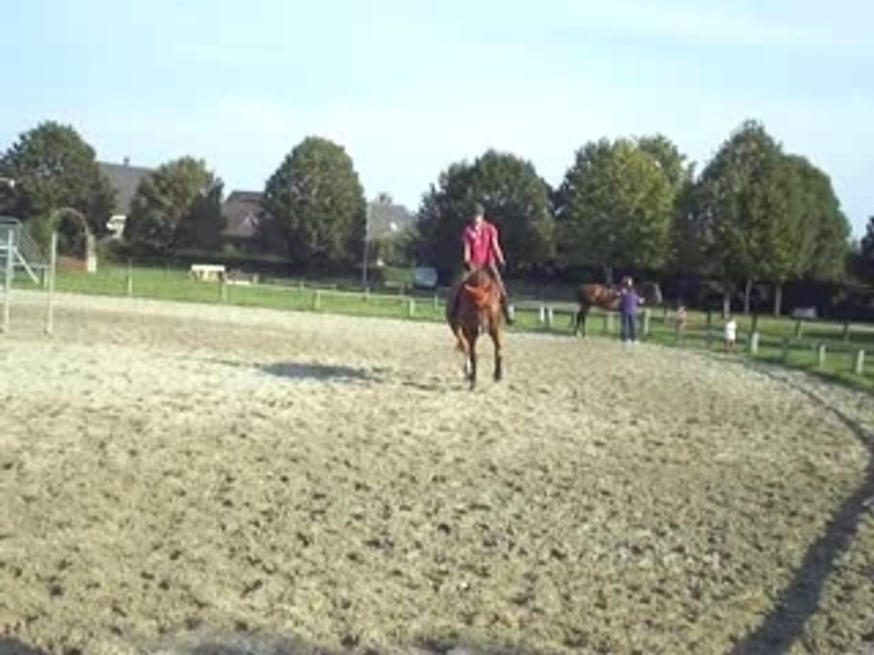 Master trot 2