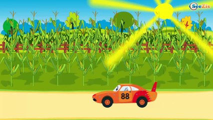 Truck & Monster Truck. Racing Car & Emergency Vehicles - Ambulance. Car Cartoons for children