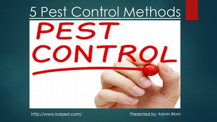5 Pest Control Methods