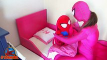 Розовый Девушка-паук и Паук-паук против большой паук Веселая супергерои человек-паук супергерой весело