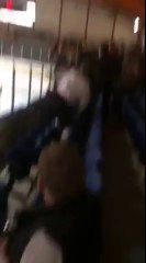 Скачать видео: Un joueur de Hockey saute dans les tribunes pour éclater un supporter