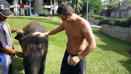 Cute Baby Elephant - A Cute And Funny Baby Elephant Videos Compilation -- NEW HD - YouTube