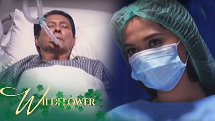 Wildflower: Ivy visits Julio at the hospital | EP 20