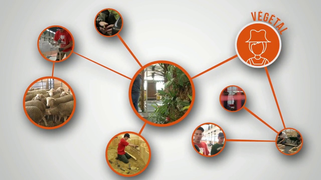 Olympiades des Métiers 2017 - Jour 3 - 1