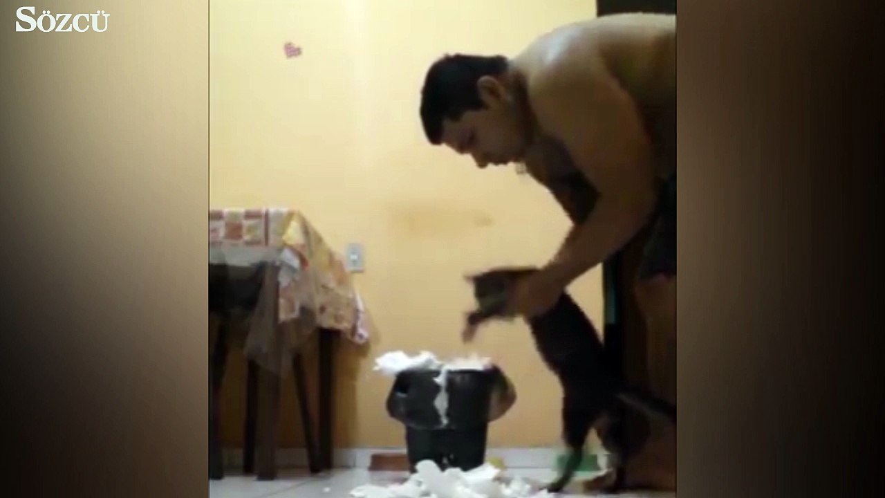 Kediniz dağıttığı yeri artık kendisi toplasın ister misiniz?