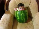 This Cute Baby Loves Water Melon very Funny