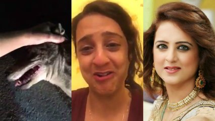 TV Host Muzna Ebrahim Blasted on KMC when her 3 Street Adopted dogs have been murdered by KMC