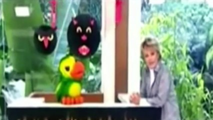 Documento único vira lei! O chip 666 vem ai!