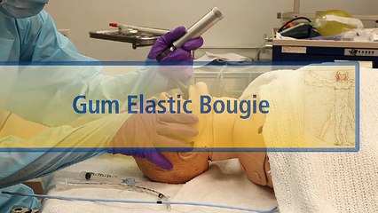 Gum Elastic Bougie