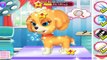 My Cute Little Pet Puppy Care - Learn to Care Little Puppy - Android Gameplay for Kids