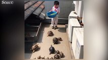 Kaplumbağalarını besleyen tatlı bebek!