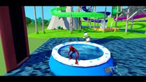 BLUE MCQUEEN CARS COLORS Spiderman & Donald Duck Finger Family Wheels On The Bus Nursery Rhymes