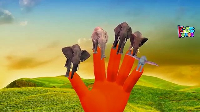 Finger Family Elephant | ChuChu TV Animal Finger Family Songs & Nursery Rhymes For Childre