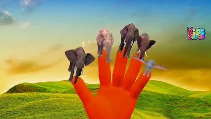 Finger Family Elephant | ChuChu TV Animal Finger Family Songs & Nursery Rhymes For Childre
