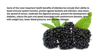Elderberry Benefits, Elderberry Nutrition Facts, Elderberry  Health Benefits