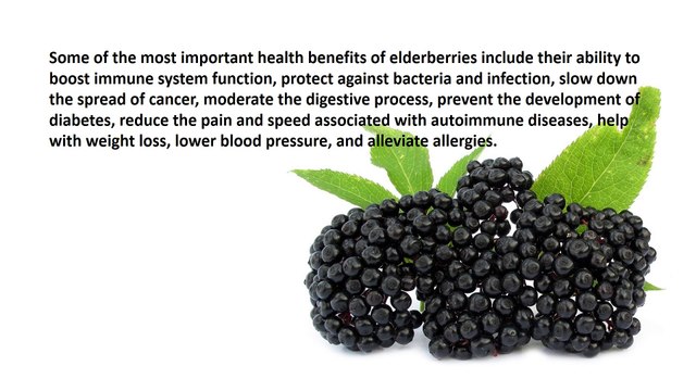 Elderberry Benefits, Elderberry Nutrition Facts, Elderberry Health Benefits