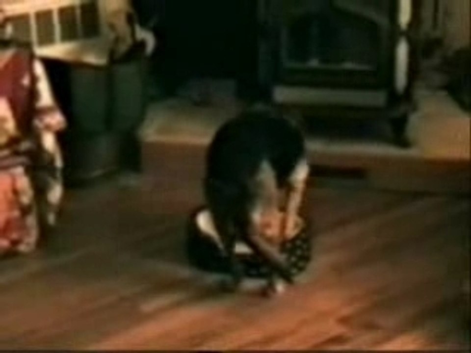 Youve Been Framed Its A Dogs Life