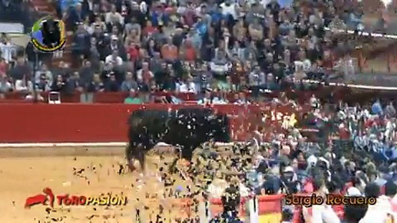 Cow hit The man-NSK
