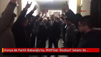 Konya Ak Partili Babaoğlu'nu, MHP'liler 'Bozkurt' Selamı Ile Karşıladı