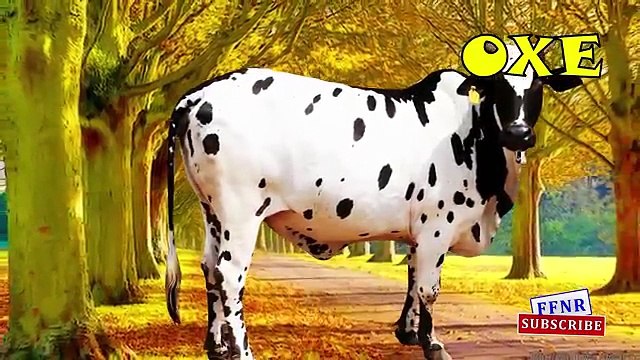 REAL FARM ANIMALS NAMES & SOUNDS - Sheep Donkey Horse Duck Turkeys Rooster Pig Goat Cows G