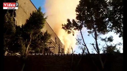 بالفيديو..3 مصانع تدمر البيئة بالعاشر.. و«الحكومة» تكتفي برصد المخالفات