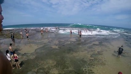 Des dizaines de touristes se font emporter par une vague géante en Australie.