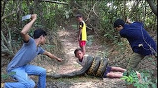 Top 10 Amazing Viral Video Catch Water snake using the Net catch water snake and crab
