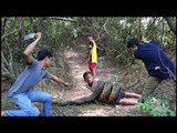 Top 10 Amazing Viral Video Catch Water snake using the Net catch water snake and crab