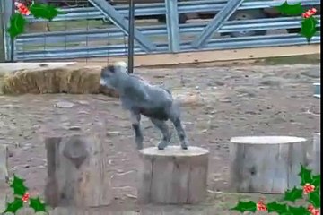 CHEVRES_FETES_FIN_ANNEE