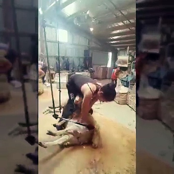 Bukadar da olmaz 