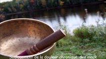 Soulagement de la douleur chronique, de la migraine et des maux de tête - 30 minutes