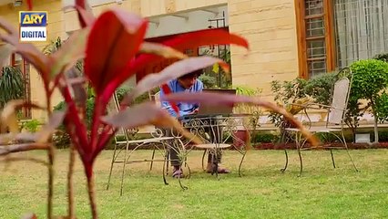 Dilli Walay Dularay Babu Ep 29 - 11th March 2017