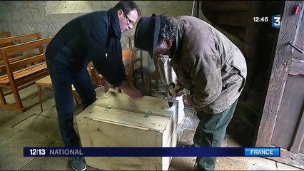 Nuit de la chouette : au secours d'une espèce menacée