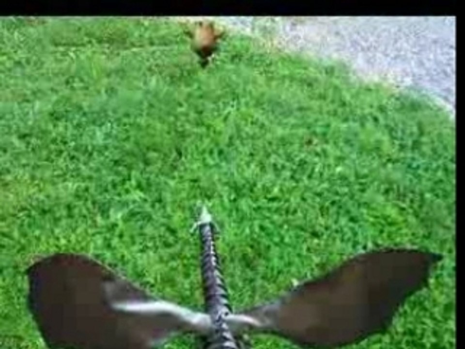 Totoro vs Dragon