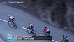 Le peloton dans la descente / The pack in the downhill - Étape 7 (Nice / Col de la Couillole) - Paris-Nice 2017