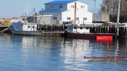 Driving to Port Mouton Nova Scotia Canada