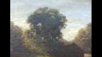 Evocation picturale de l'artiste peintre François Cachoud