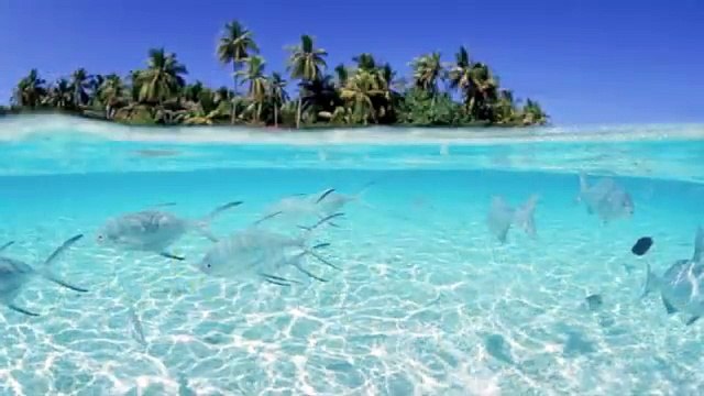 099 Surat Az-Zalzalah (The Earthquake) - سورة الزلزلة