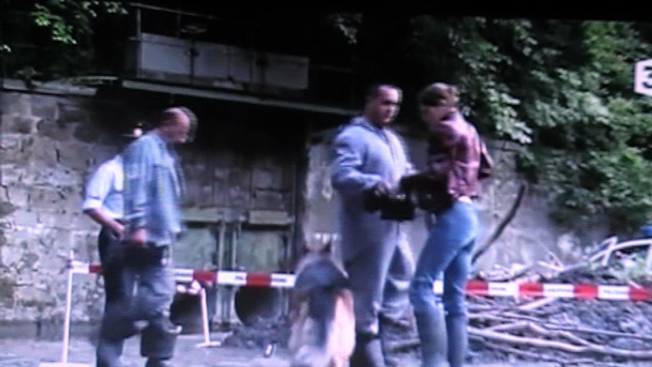 Kommissar Rex : "Rex est ses petits chaussons."