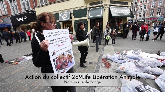 Action contre les élevages et les abattoirs