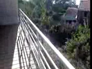 Best of the Best 🌟