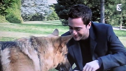 Kommissar Rex : "Rex veut coincer le tueur de chiens"