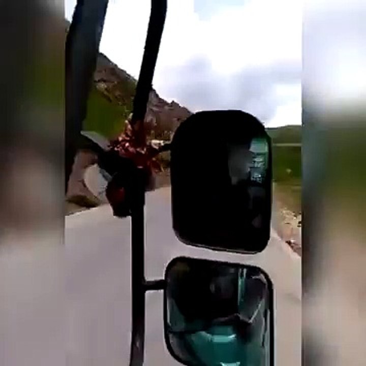 Animali litigano e praticano il kung fu incredibile