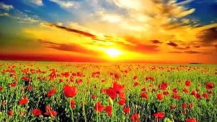 091 Surat Ash-Shams (The Sun) - سورة الشمس